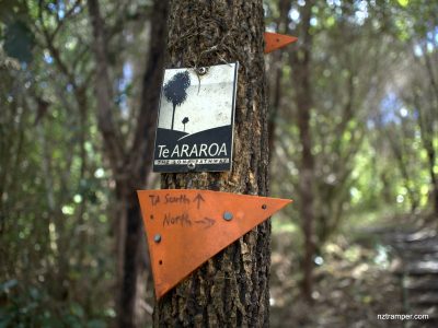 Te-Araroa-Walkway-Clevedon-Auckland